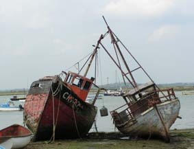 MINOLTA DIGITAL CAMERA